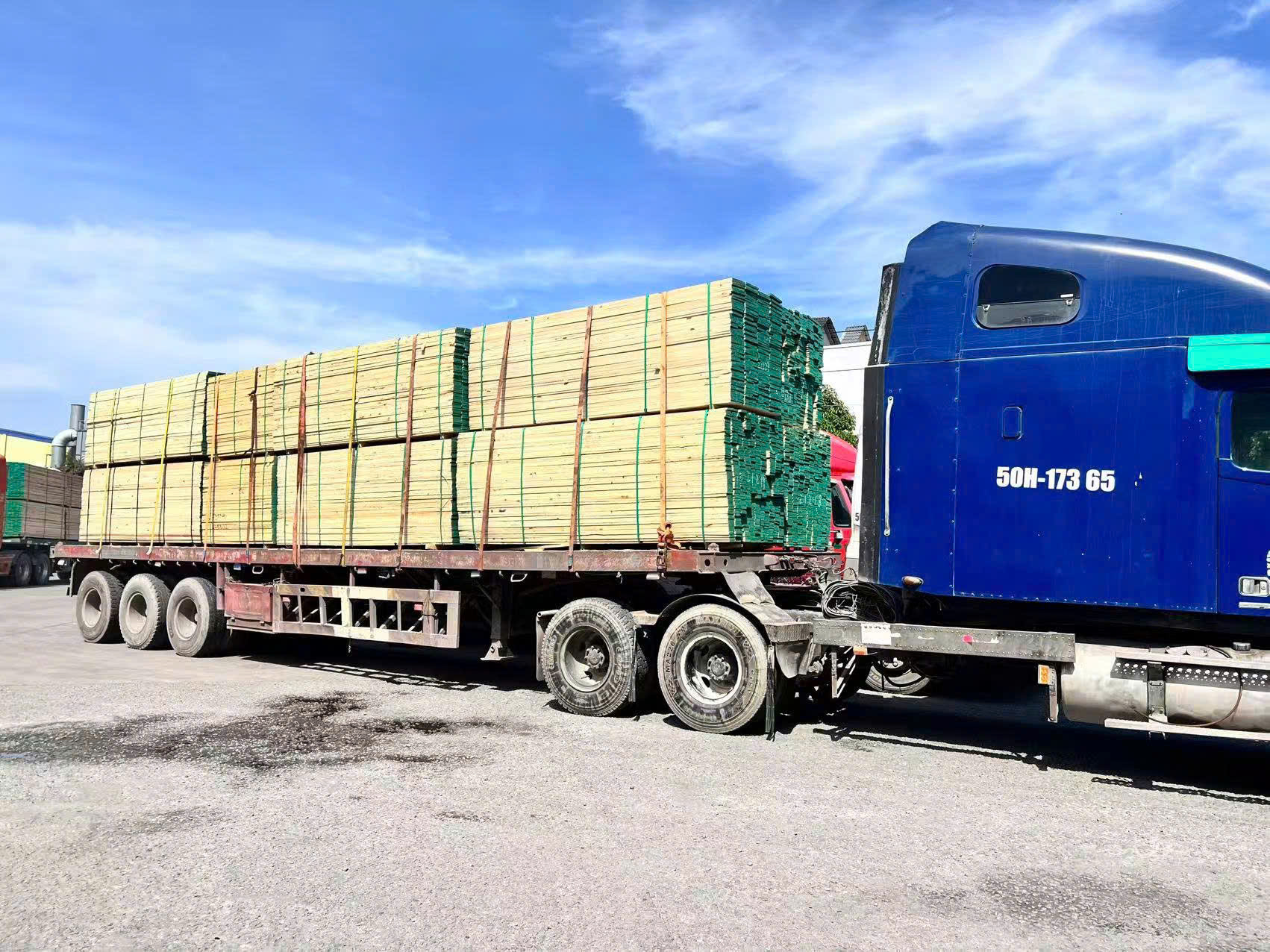 Blue semi-truck loaded with timber